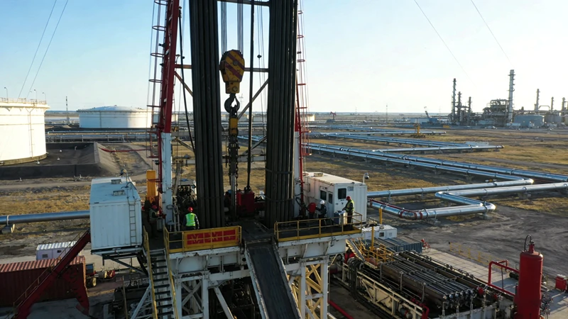 petroqu&iacute;micos